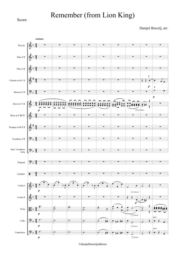 Remember (from Lion King) orchestra score